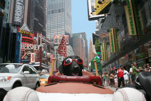 Sidecar Dog Tour 2024
